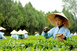 雷竞技之类的平台